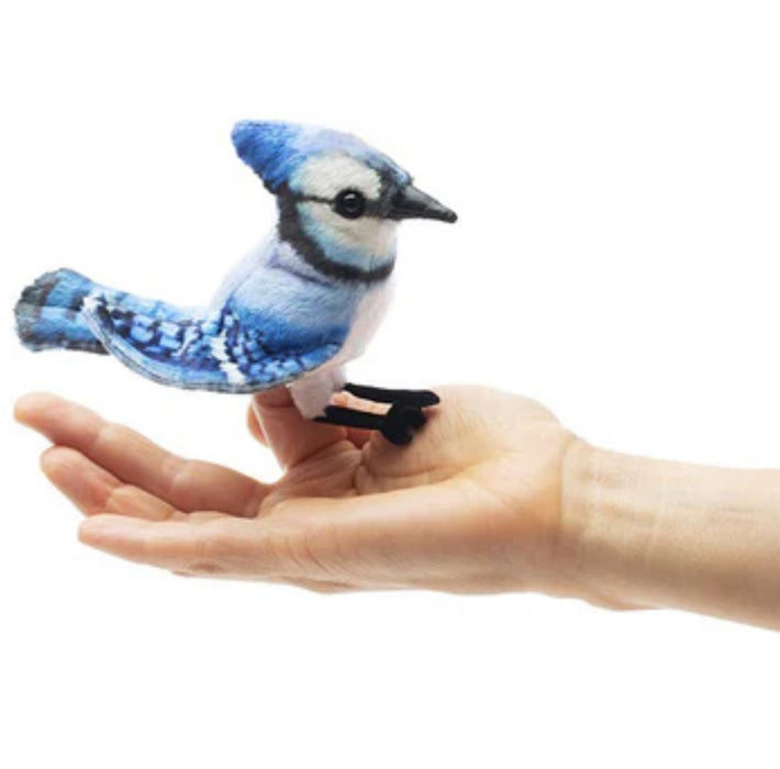 MINI BLUE JAY