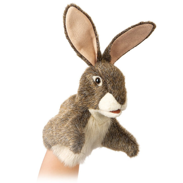 Little Hare