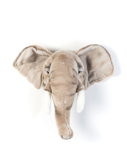 Head Large Elephant, George