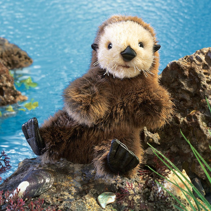 Otter, Baby Sea