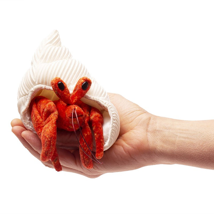 hermit crab