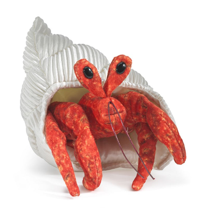 hermit crab