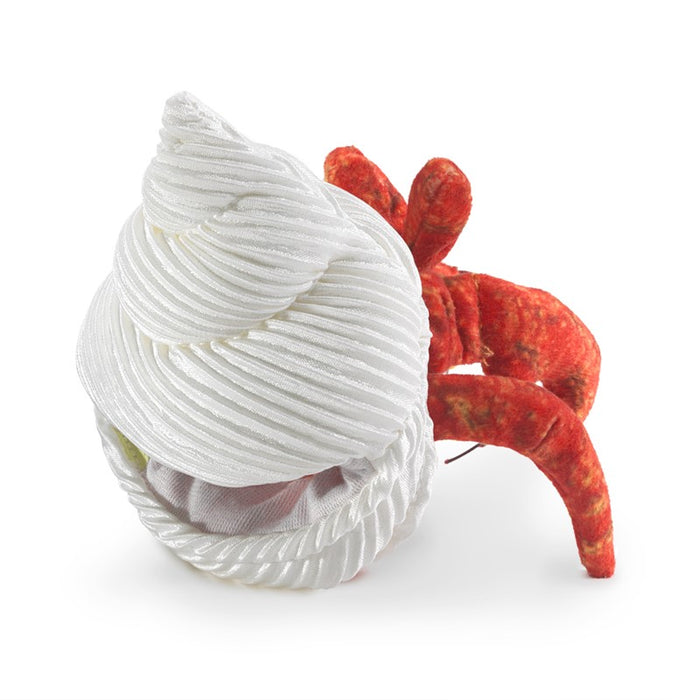 hermit crab