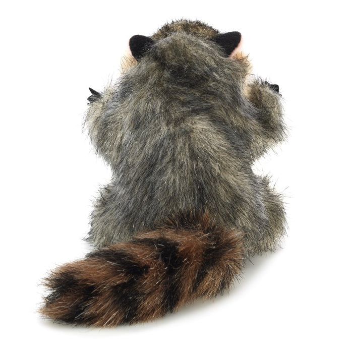 Mini Raccoon