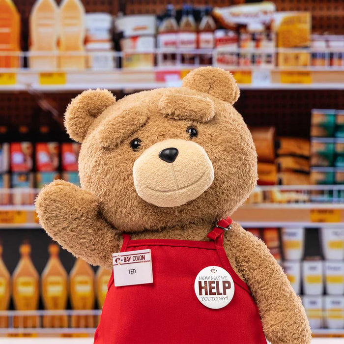 Ted2 - Ted Action Plush Figure