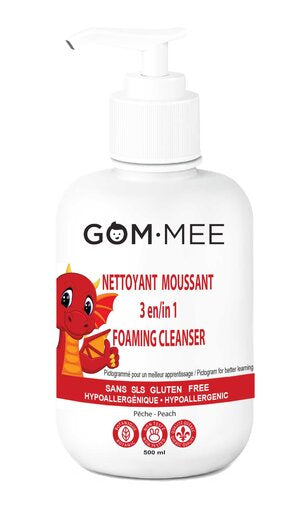 3 IN 1,500ML FOAMING CLEANSER PICTOGRAMMED