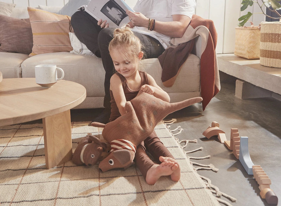 Hunsi Dog With Two Puppies Coco & Max