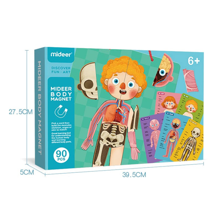 Body Magnets – Human Anatomy Learning Toy – Ages 6+