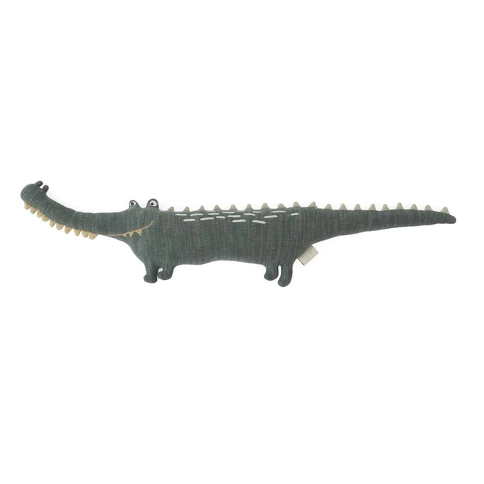 Mr. Crocodile