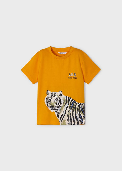 Sustainable cotton print T-shirt boy