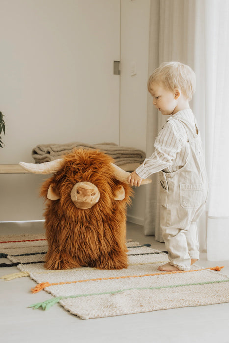 Soft Bouncy Highland Cow
