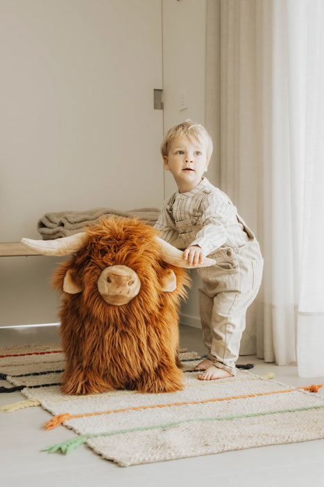 Soft Bouncy Highland Cow