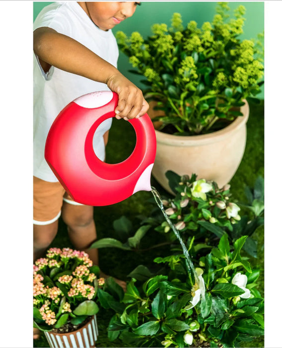 CANA - 1 LITRE CHERRY