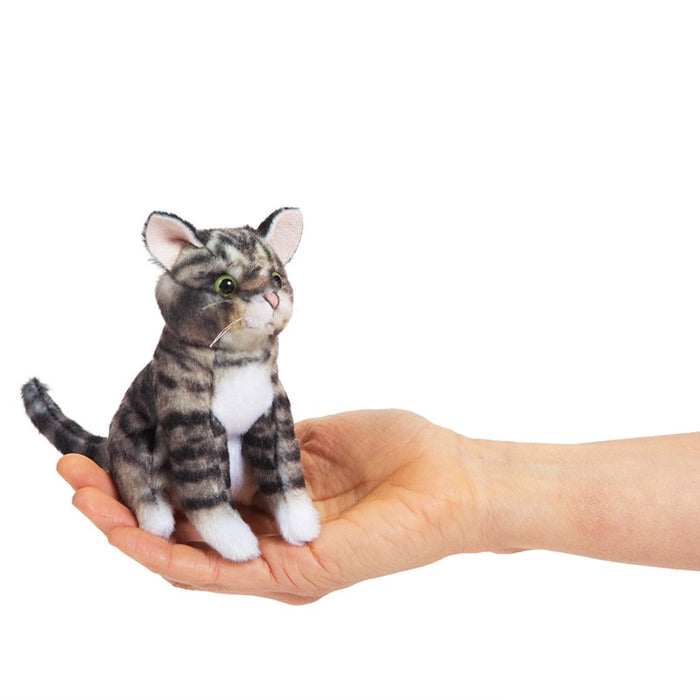 Mini Tabby