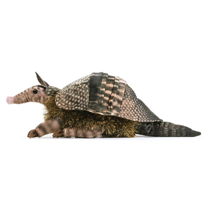Armadillo