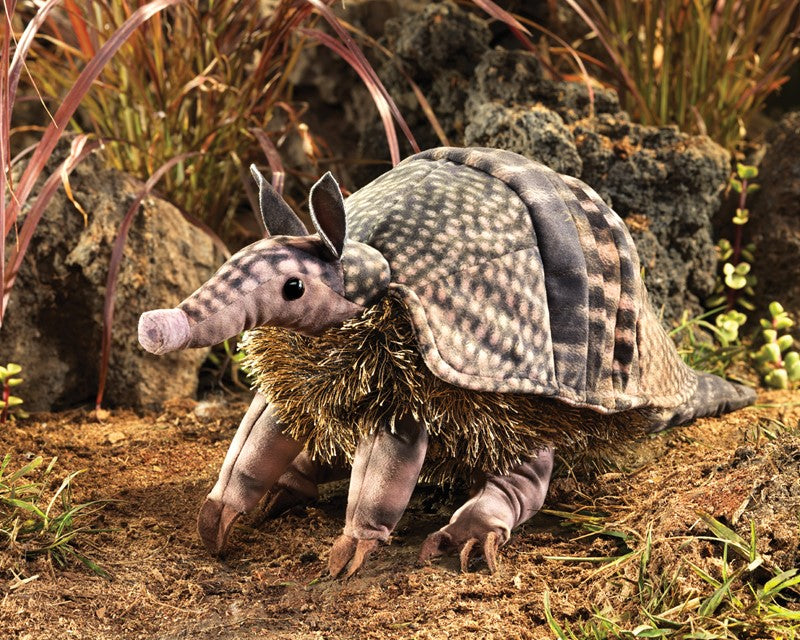 Armadillo