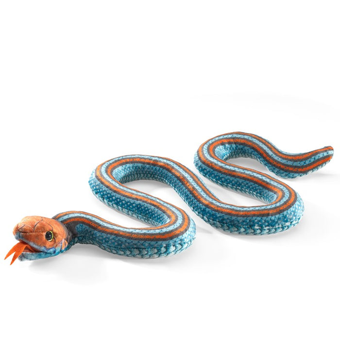 Snake, San Francisco