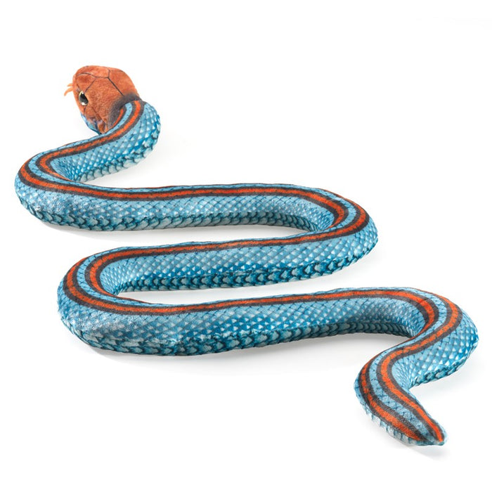 Snake, San Francisco