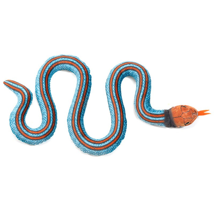 Snake, San Francisco