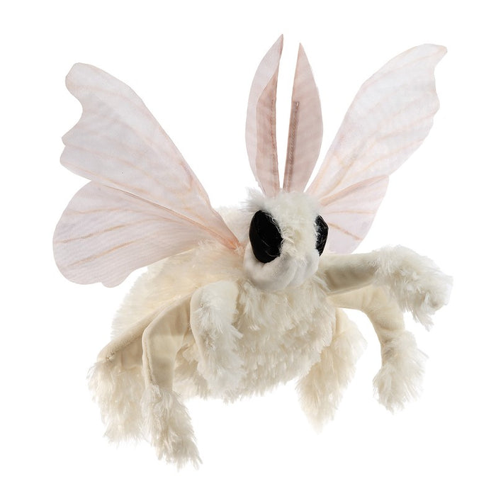 Moth
