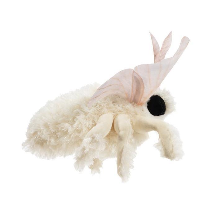 Moth