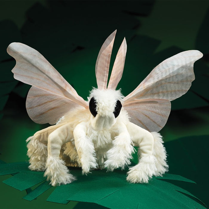 Moth