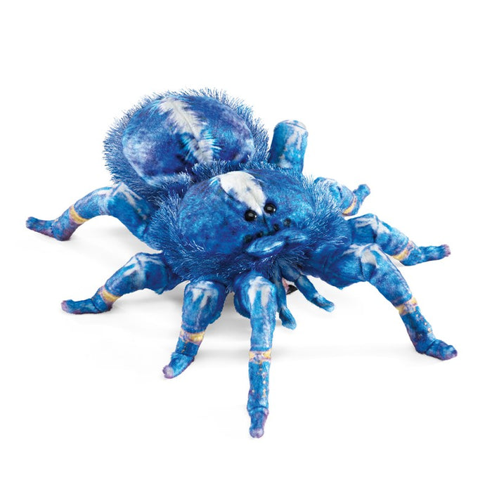 Tarantula, Blue