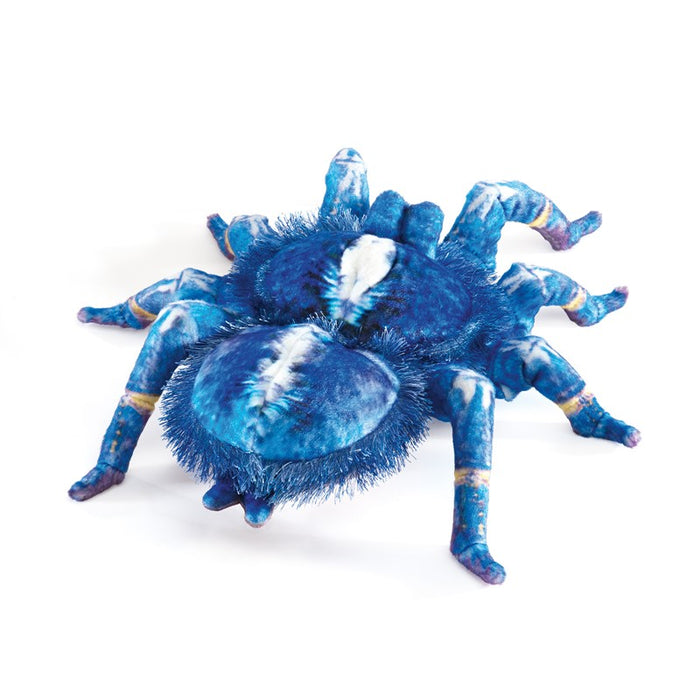Tarantula, Blue