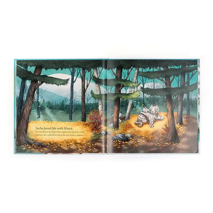 Sacha and the Most Wonderful Thing Book