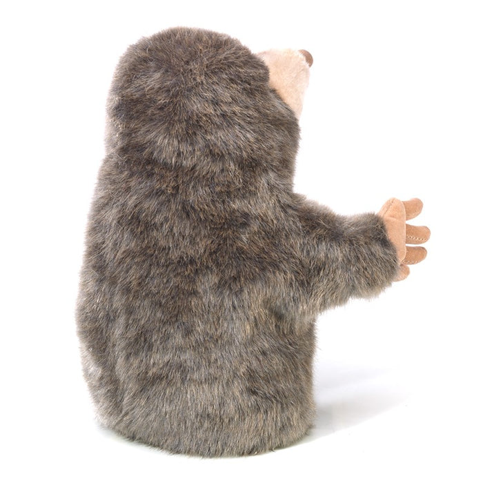 Little Mole