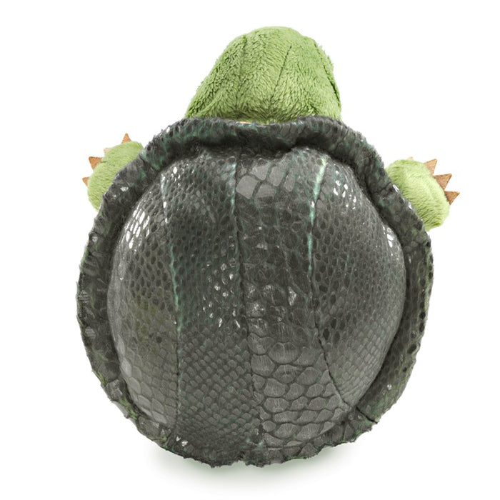 Little Turtle