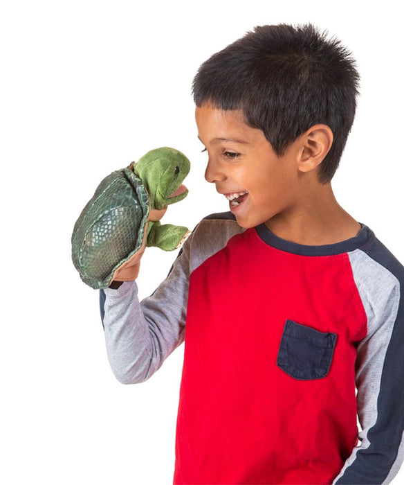 Little Turtle