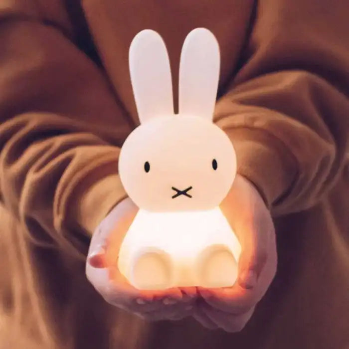 Mr Maria Miffy
Lights Little