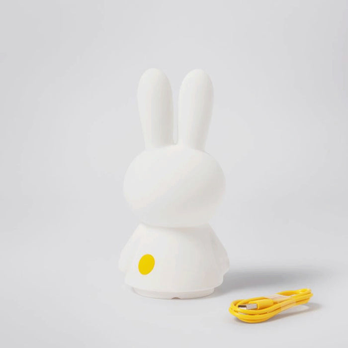 Mr Maria Miffy
Lights