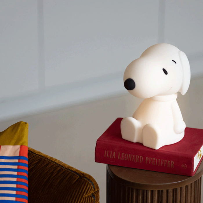 Mr Maria Snoopy
Lights