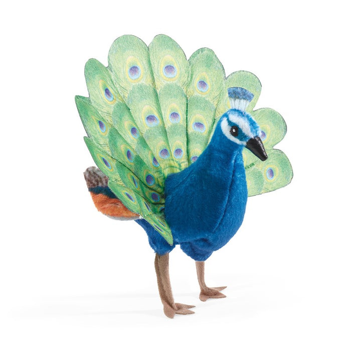 Mini Peacock