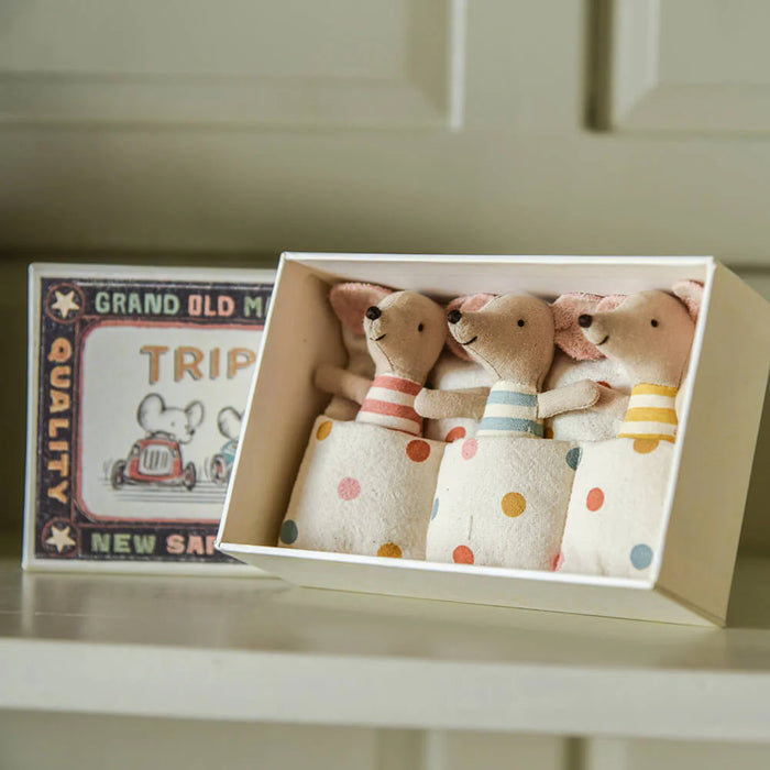 Baby mice triplets in matchbox