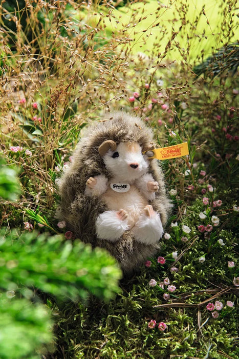 Joggi baby hedgehog
