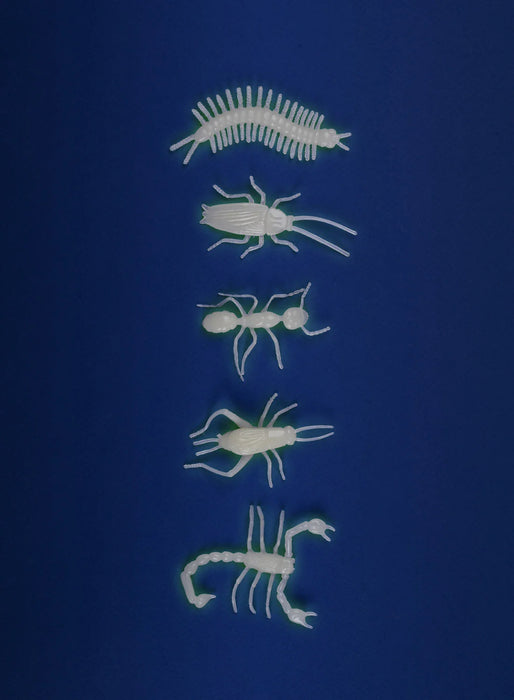GLOW-IN-THE-DARK INSECTS