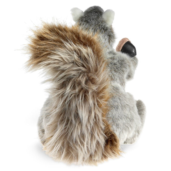 Squirrel, Gray
