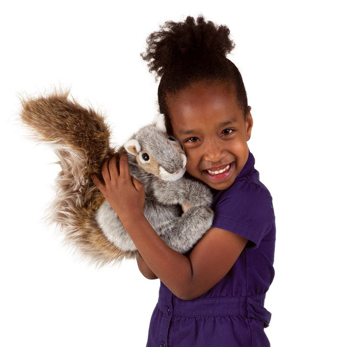 Squirrel, Gray