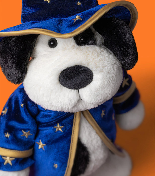 Rufferty Puppy Wizard Outfit