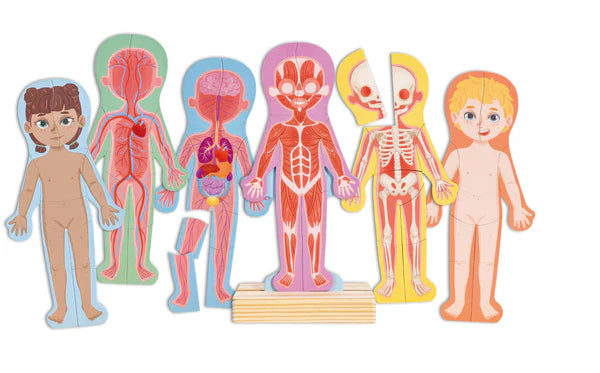 Magnetic Human Body Wooden Puzzle