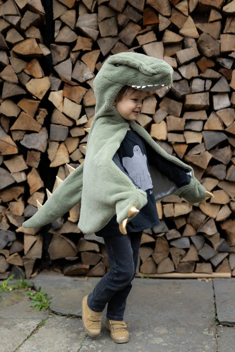Green T-Rex Cuddle Cape 5-6Y