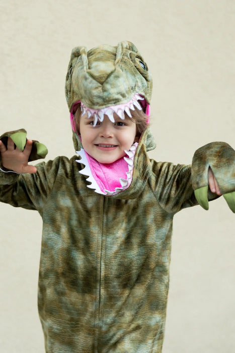 A Land Before Mine Deluxe Raptor 4-6Y