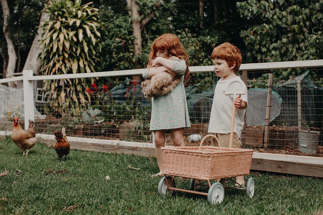 Rattan Wonder Wagon -  Natural