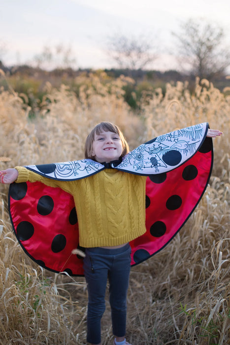 Colour A Ladybug Cape