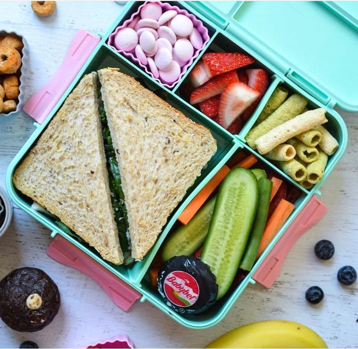 Bento Three Plus -  Mint