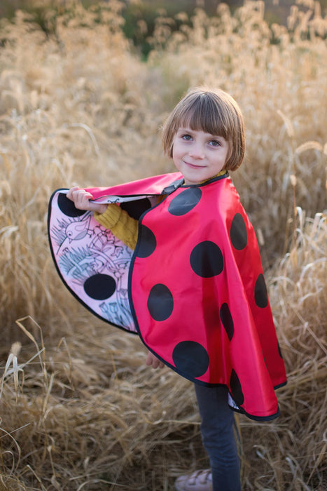 Colour A Ladybug Cape