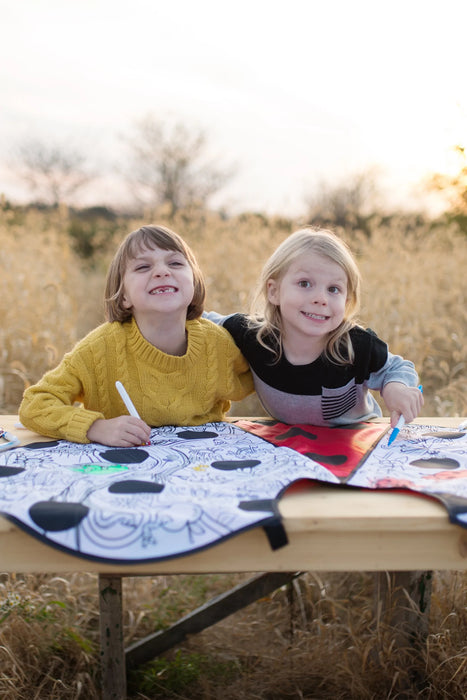 Colour A Ladybug Cape